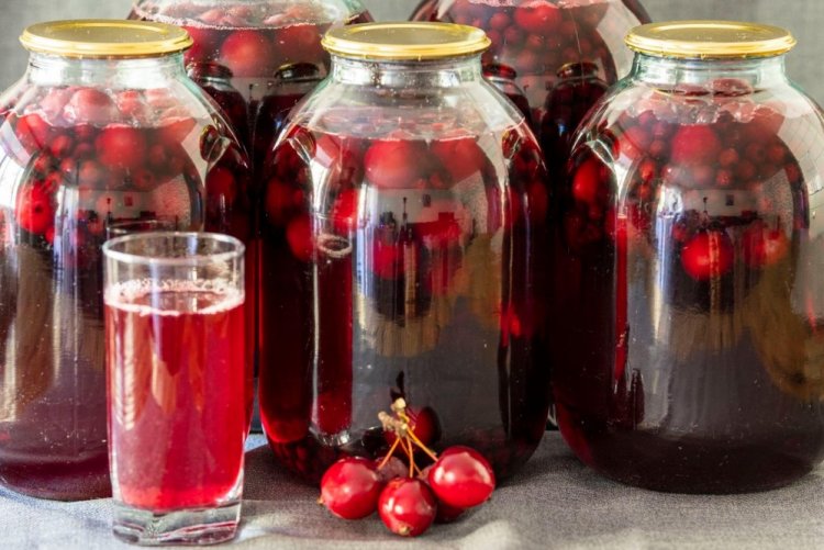 Компот из ранеток и черноплодной рябины