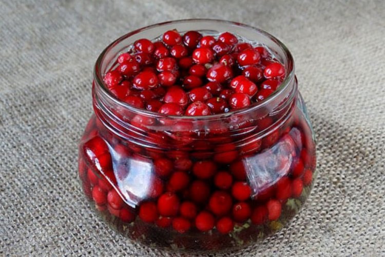 Маринованная клюква