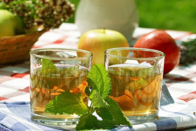 Вино из яблок с мелиссой