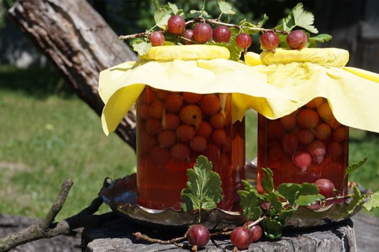 Компот из крыжовника с апельсином и вишневым соком