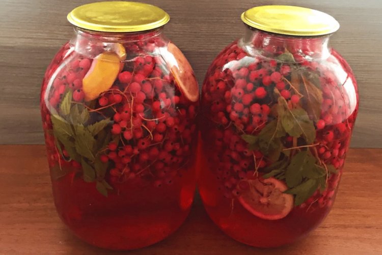 Компот из красной смородины с апельсином и мятой