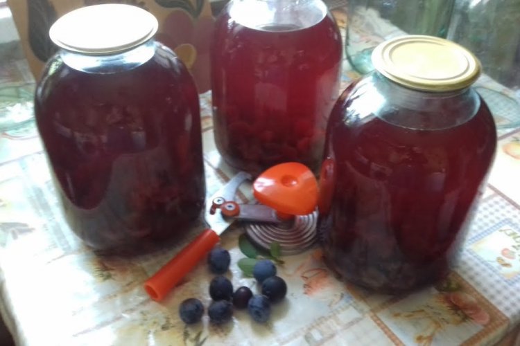 Компот из терна без стерилизации