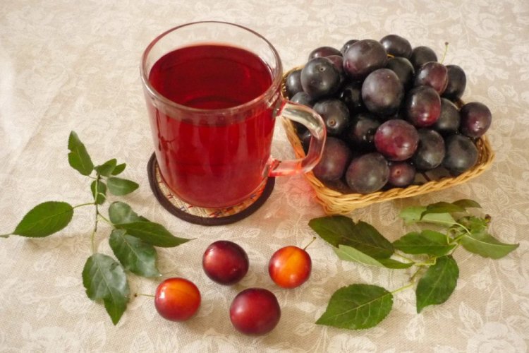 Компот из терна и алычи