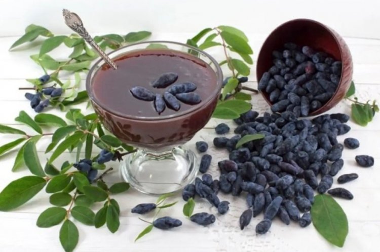 Джем из жимолости в мультиварке