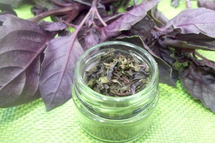 Сушеный базилик на зиму