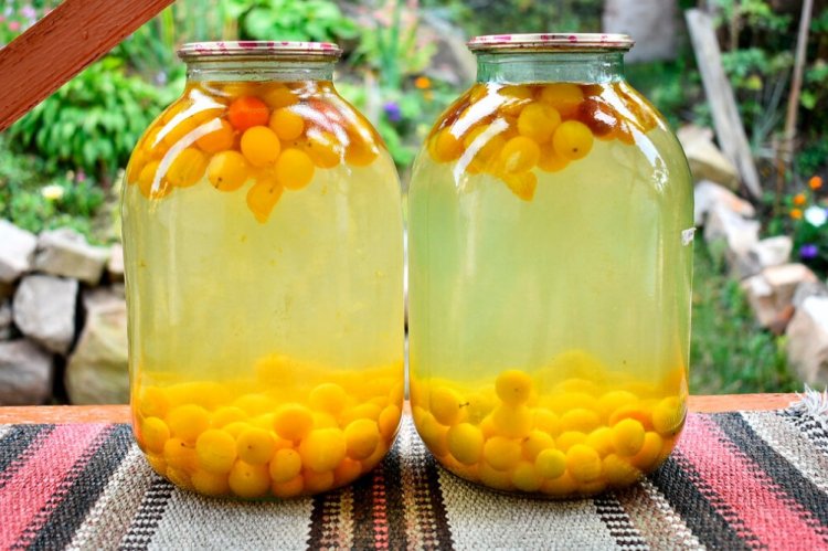 Компот из алычи и облепихи с мятой