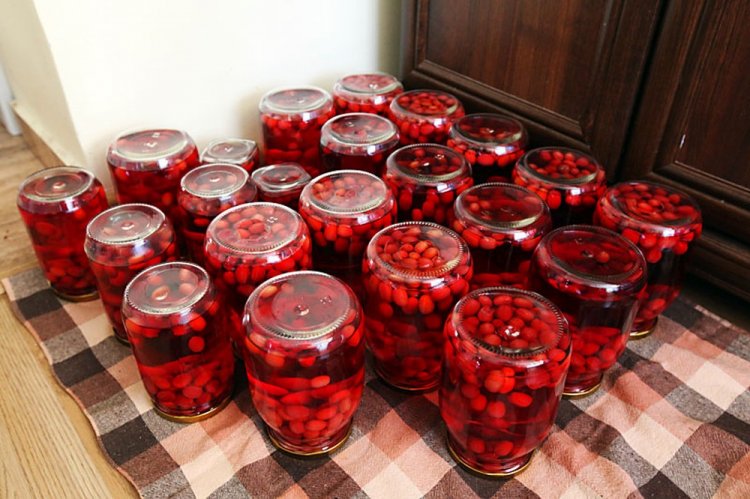 Компот из кизила с фруктами