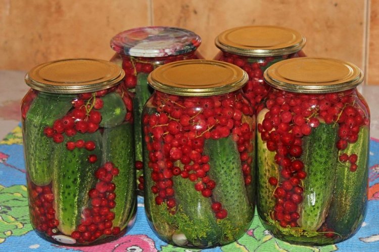Маринованные огурцы с чесноком и красной смородиной