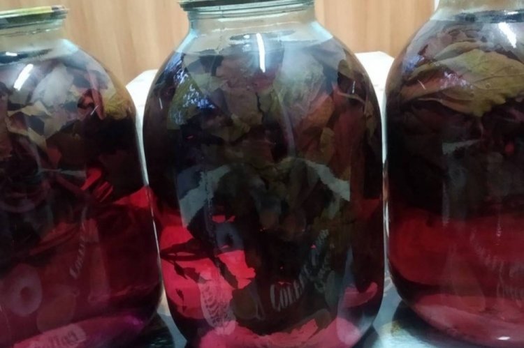 Компот из базилика с лимонной кислотой на зиму