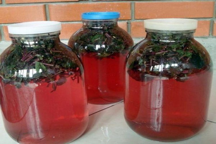 Компот из базилика с лаймом на зиму