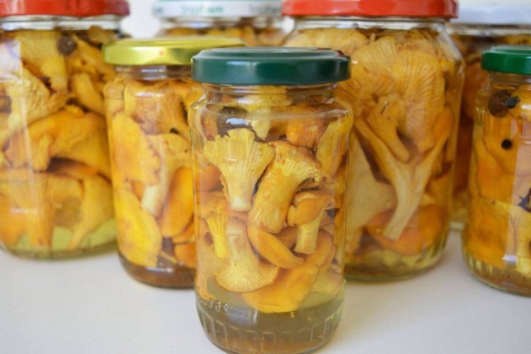 Лисички, маринованные холодным способом