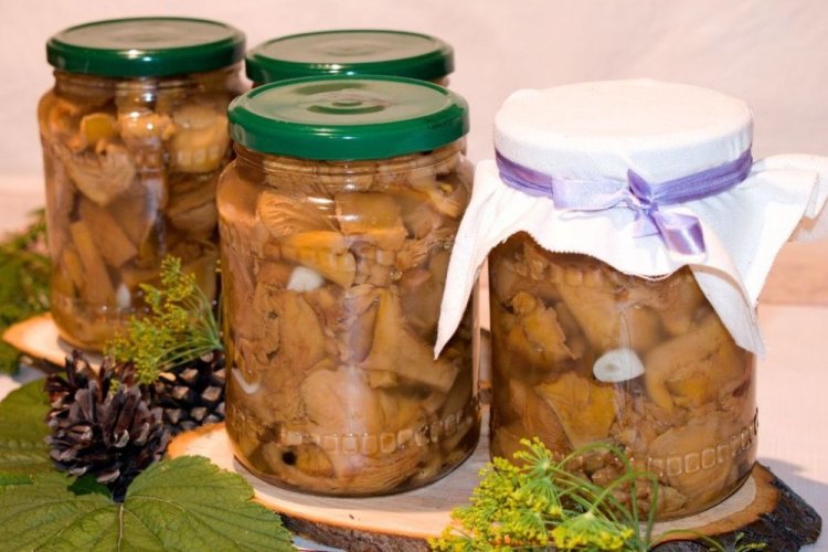 Маринованные лисички с корнем хрена и чесноком