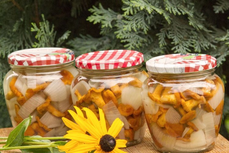 Лисички с луком в медовом маринаде на зиму