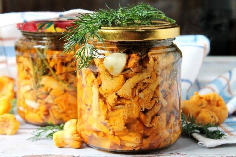 Маринованные лисички без уксуса со стерилизацией