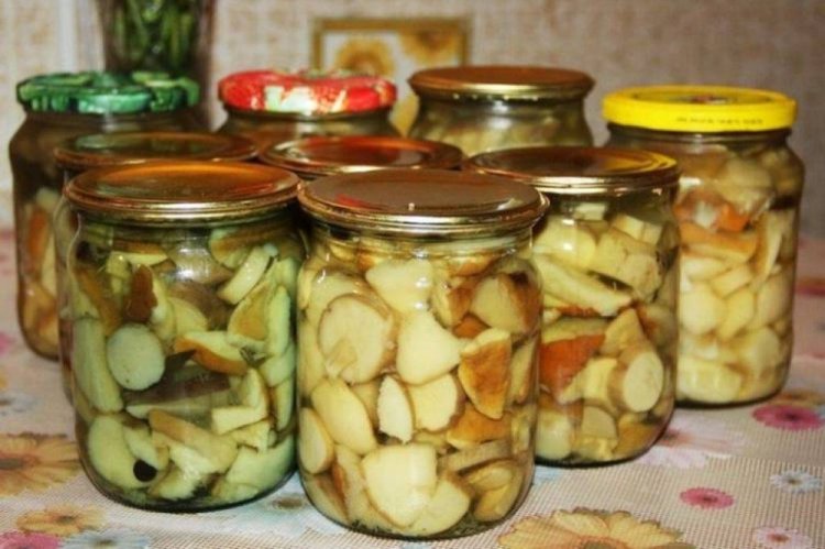 Маринованные белые грибы с бадьяном и корицей