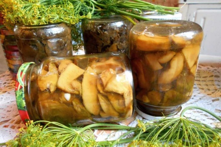 Маринованные белые грибы без стерилизации