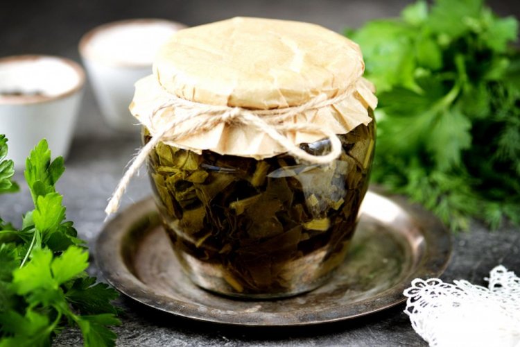 Щавель на зиму со стерилизацией