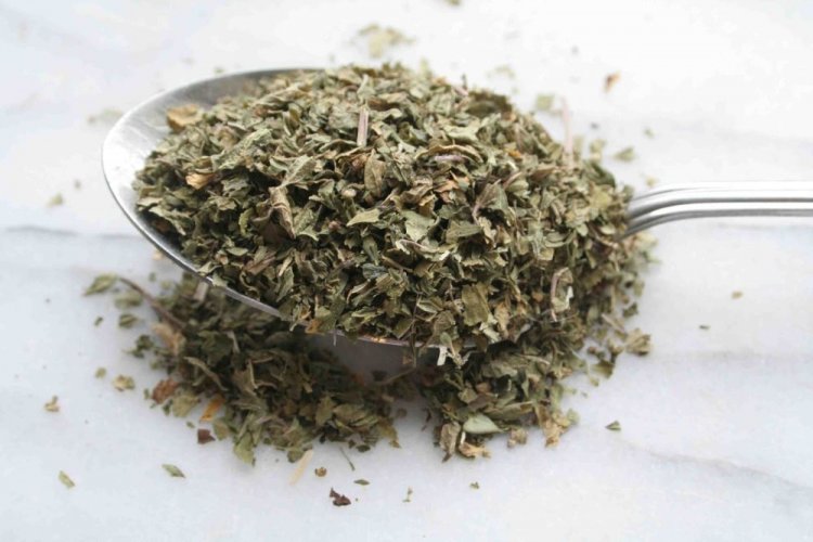 Сушеный щавель на зиму