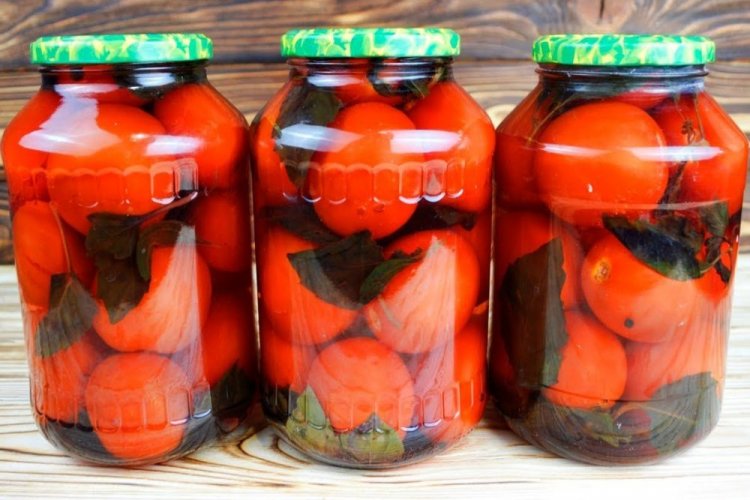 Маринованные помидоры с базиликом