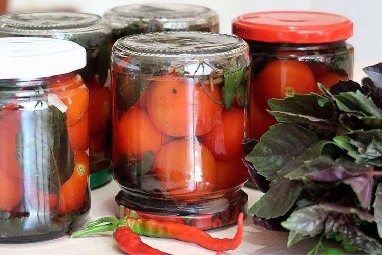 Пикантные помидоры с острым перцем и базиликом