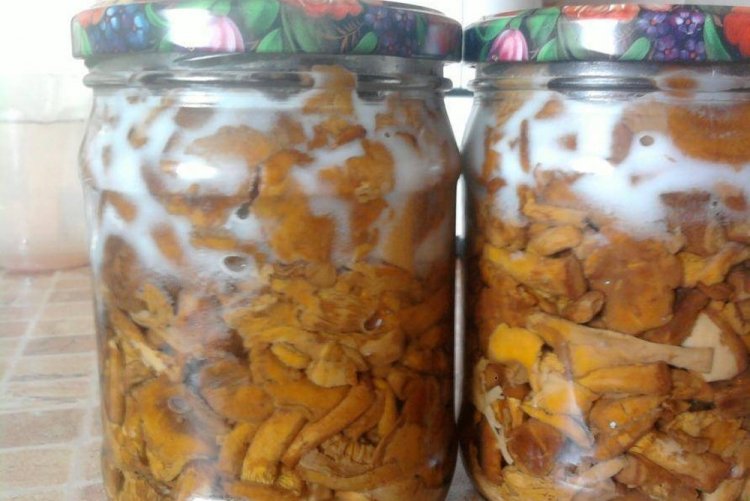 Жареные лисички со сливочным маслом на зиму