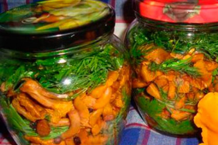 Жареные лисички с уксусом и зеленью на зиму