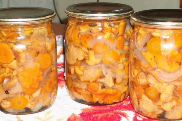 Жареные лисички с луком и морковью на зиму