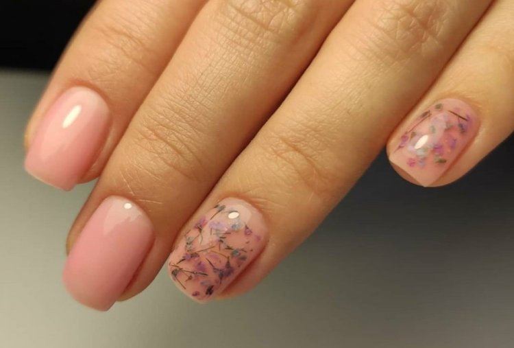 Сухоцветы и другие цветочные элементы