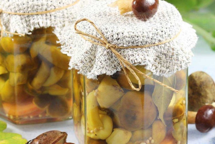 Маринованные маслята с имбирем на зиму