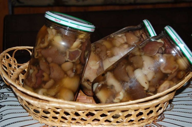 Маринованные маслята с чесноком