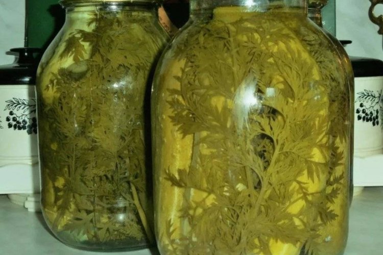 Огурцы с морковной ботвой и сельдереем на зиму