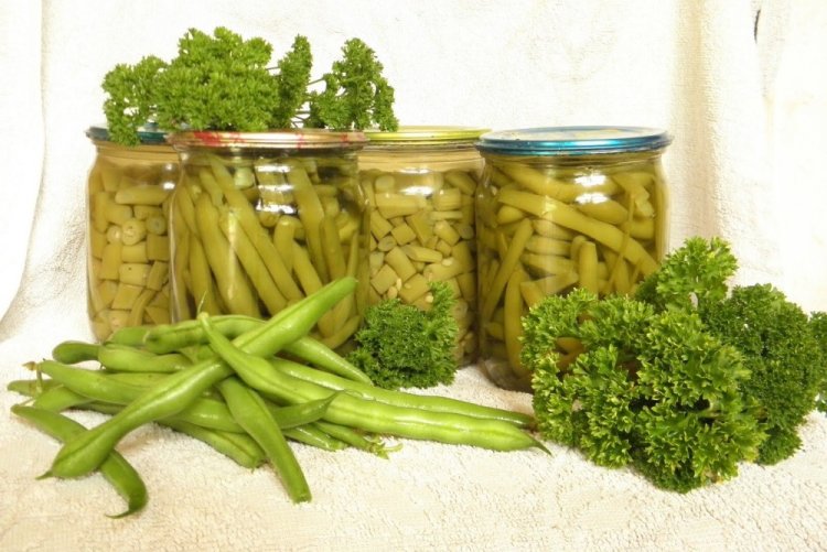 Маринованная спаржевая фасоль на зиму