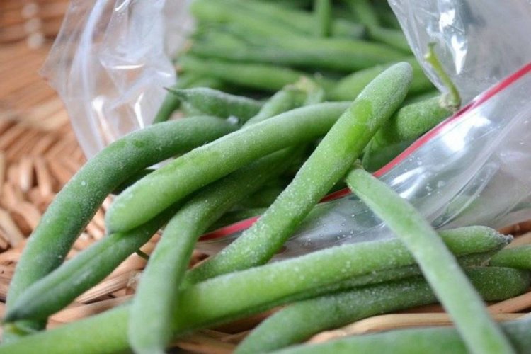 Замороженная стручковая фасоль на зиму