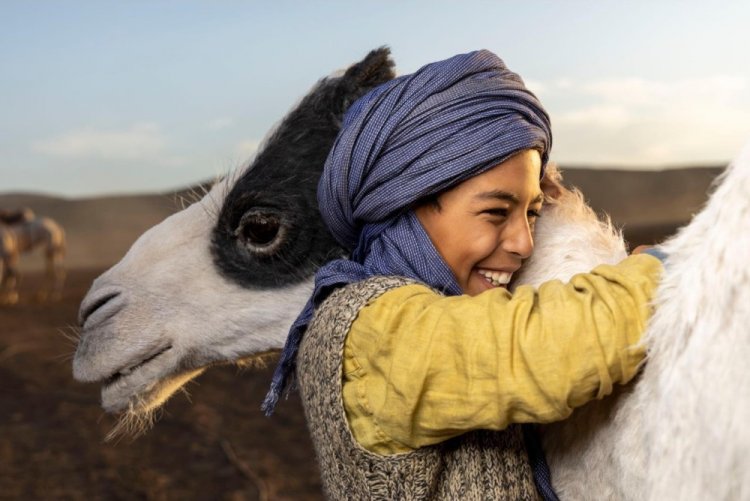 Принц пустыни