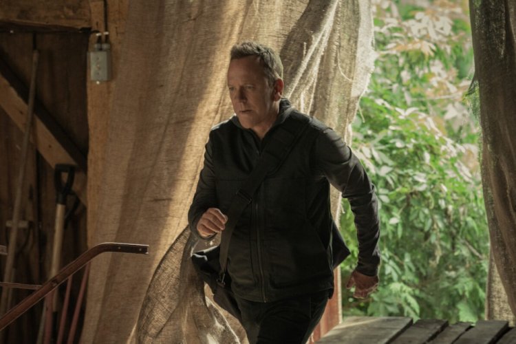 Кроличья нора