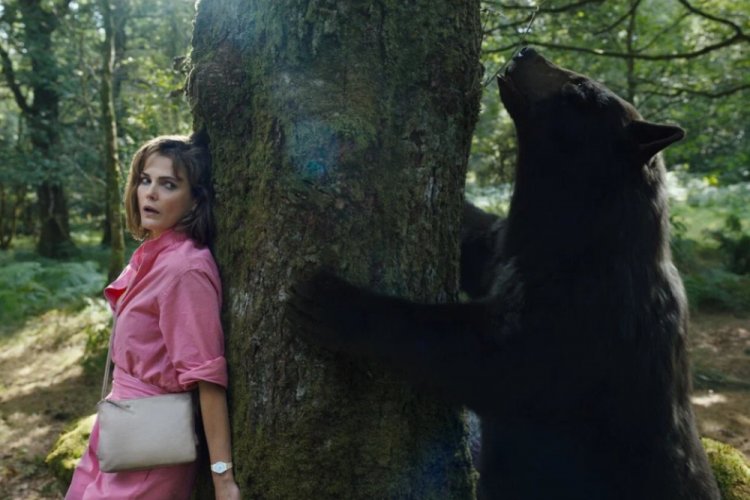 Кокаиновый медведь