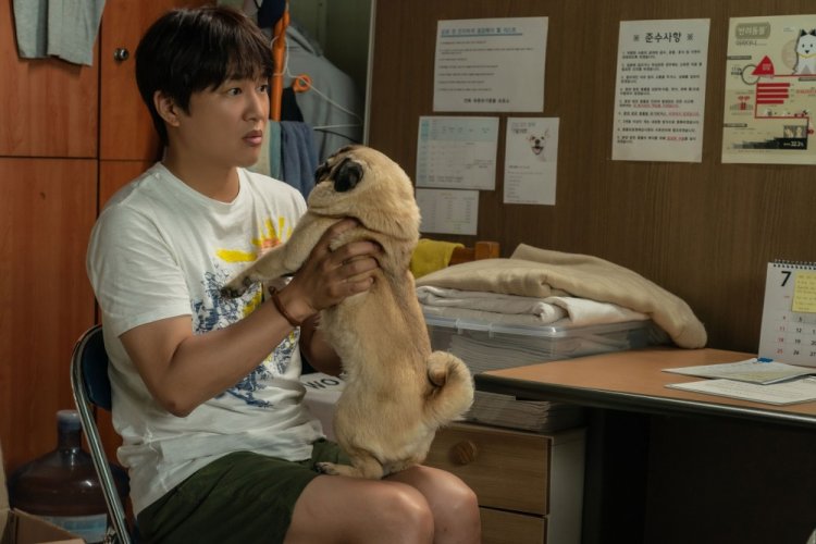 Мой пес Руни