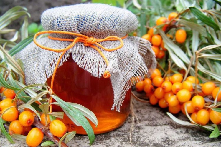 Прозрачное варенье из облепихи