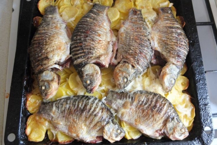 Караси с горчицей, запеченные в духовке