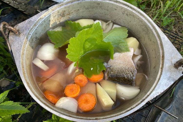 Уха из трески с виноградными листьями на костре