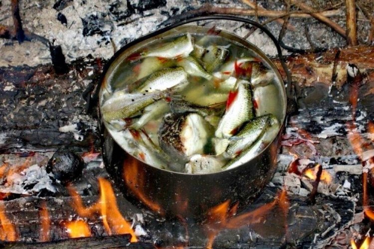 Тройная рыбацкая уха без овощей на костре в казане