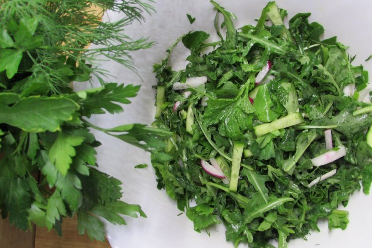 Зеленый салат с ботвой редиса