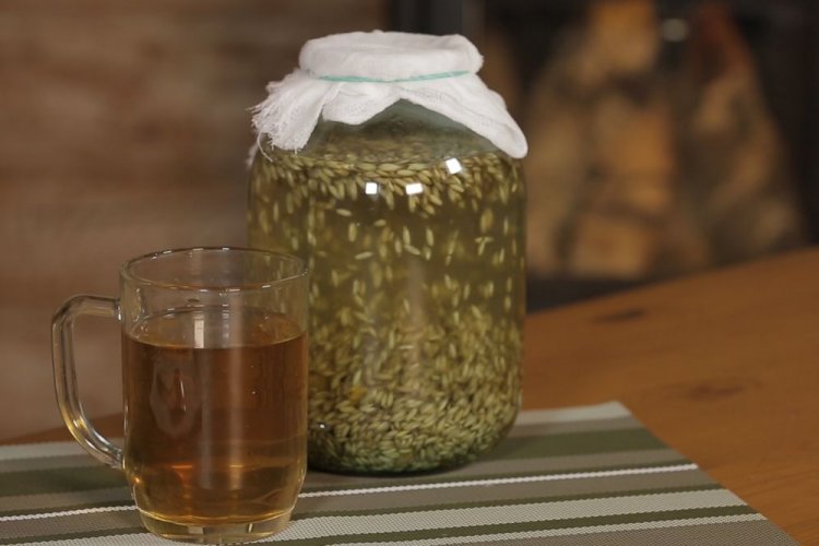 Закваска для кваса из ячменя