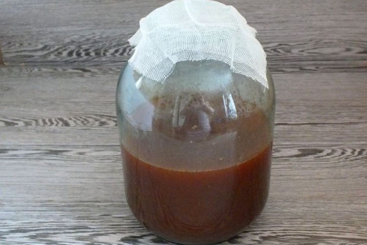 Закваска из винограда с ржаной мукой