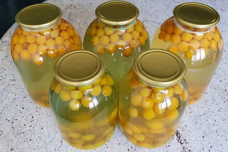 Компот из желтой сливы на зиму