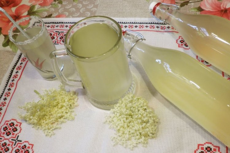 Квас из бузины