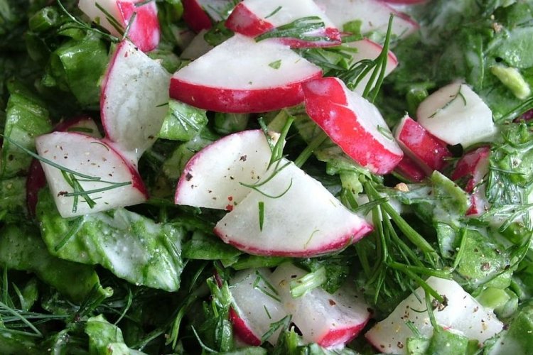 Салат с огурцом, редиской и щавелем