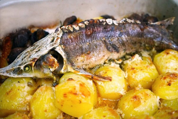 Стерлядь с картошкой и грибами в духовке