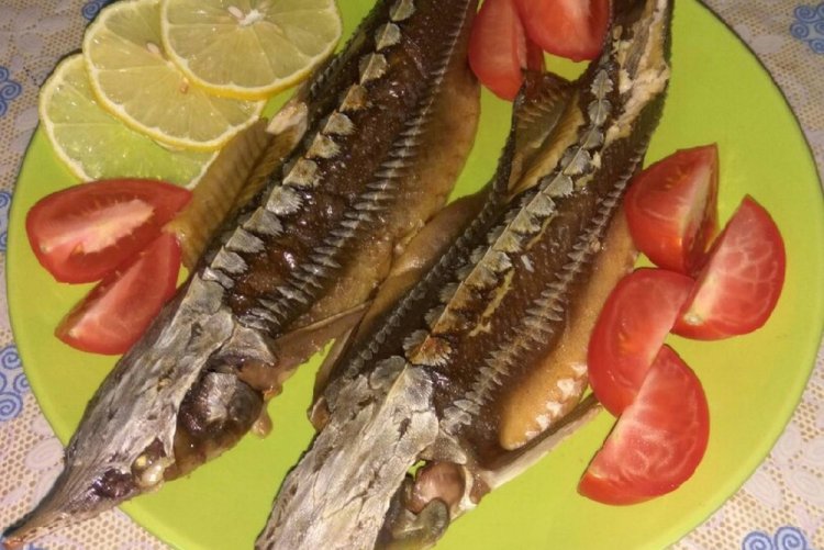 Стерлядь в рукаве в духовке