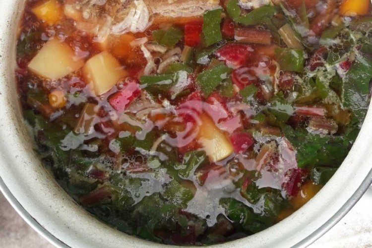 Щи с капустой и свекольной ботвой